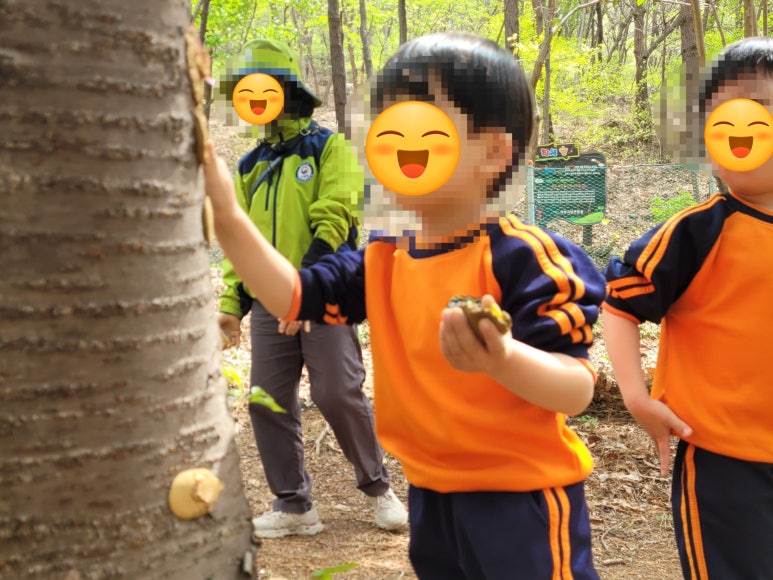 봉화산 유아숲체험원 이미지