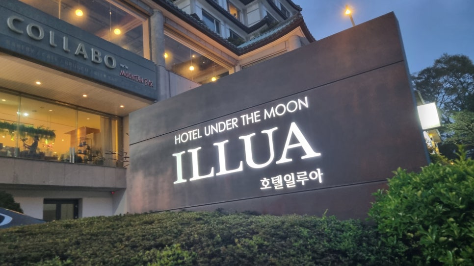 달맞이언니 이미지