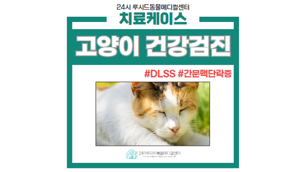 김진영내과 이미지