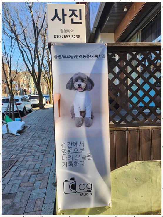 소중한오늘 사진관 이미지