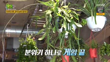 쌀국수공방 이미지