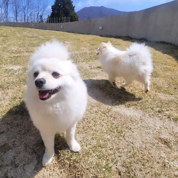 스테이루비 이미지