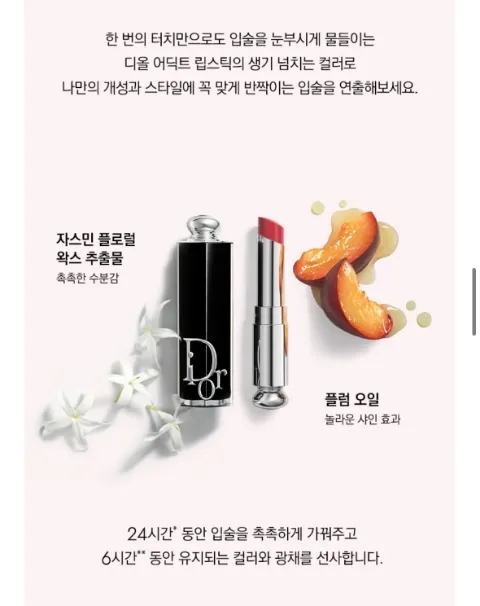 보누르 이미지