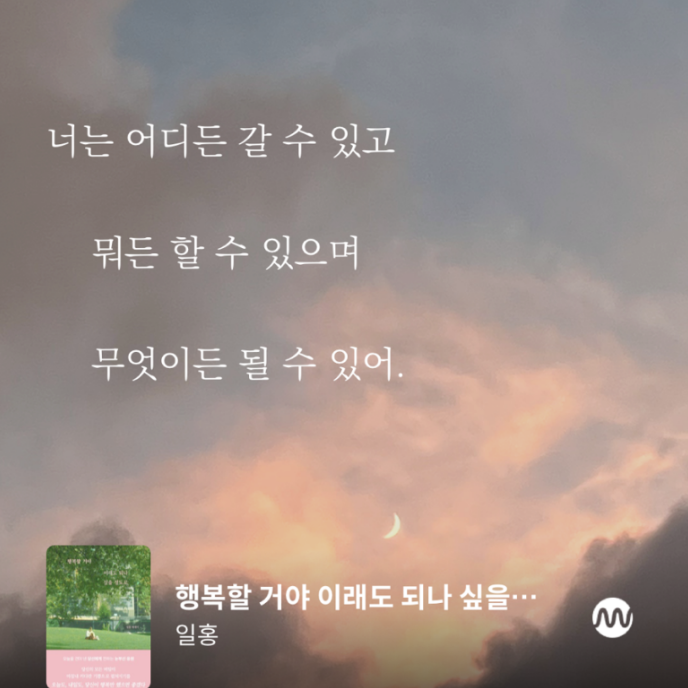 일홍 이미지