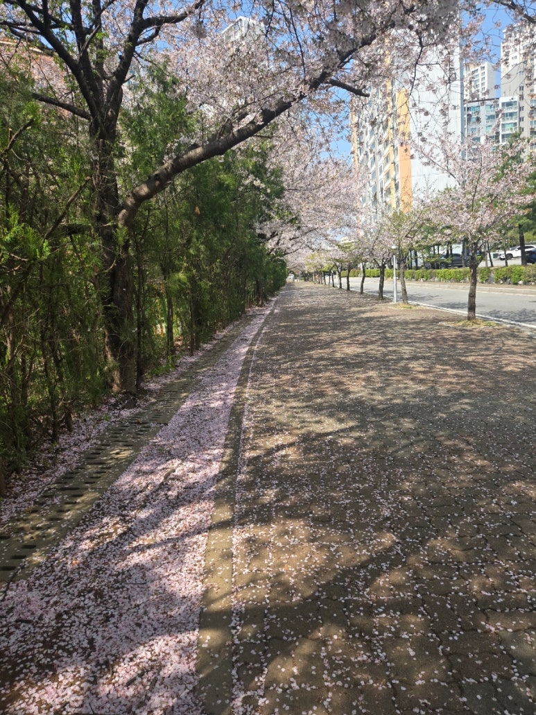 그꽃길 이미지