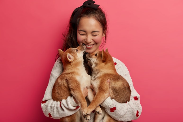 대한창업연구소 이미지