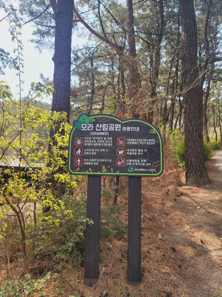 모라 유아숲체험원 이미지