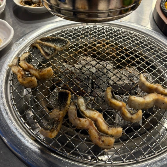 오라장어 이미지