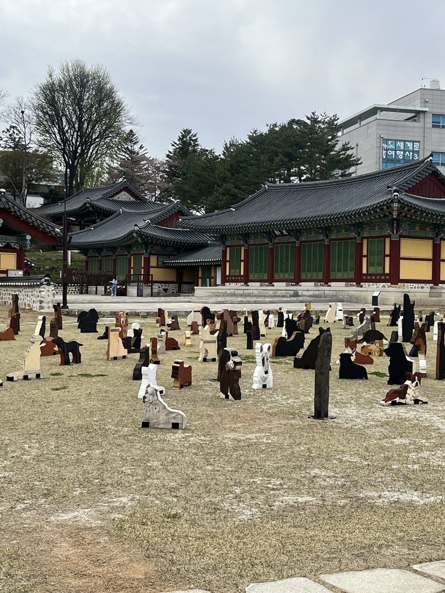 팔로디리몬 이미지