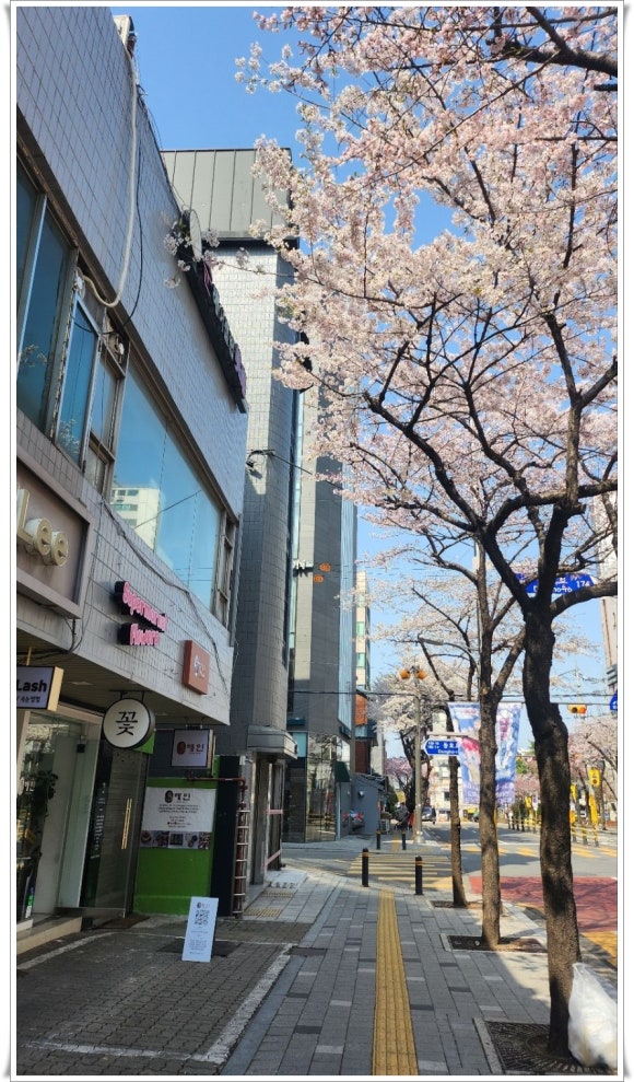 수퍼마켓플라워 이미지