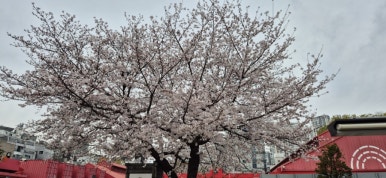 청파소국밥 이미지