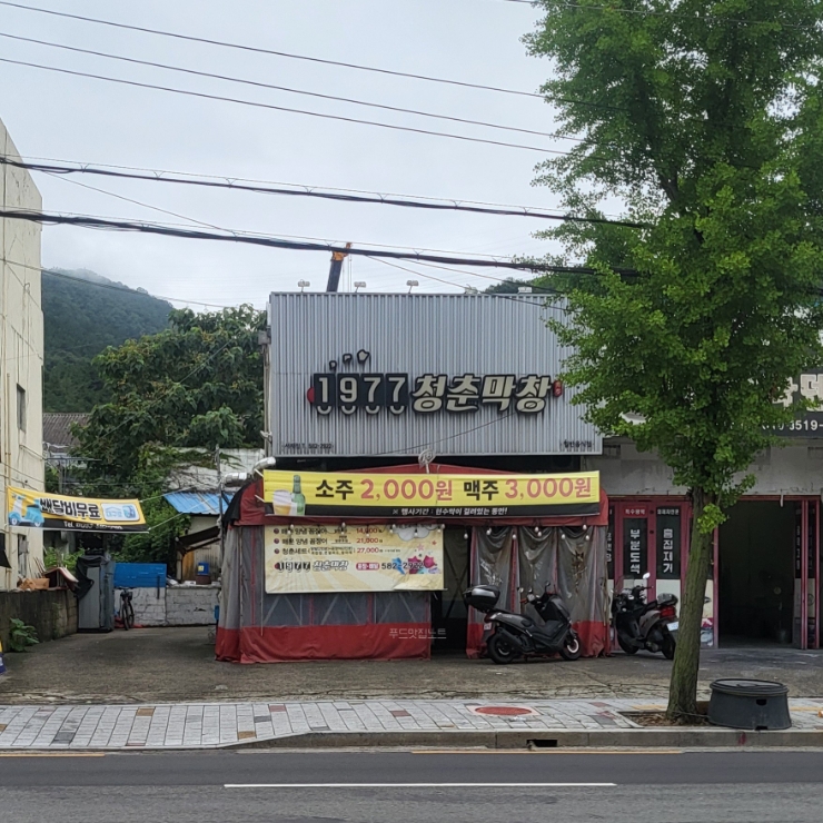 1977청춘막창 이미지