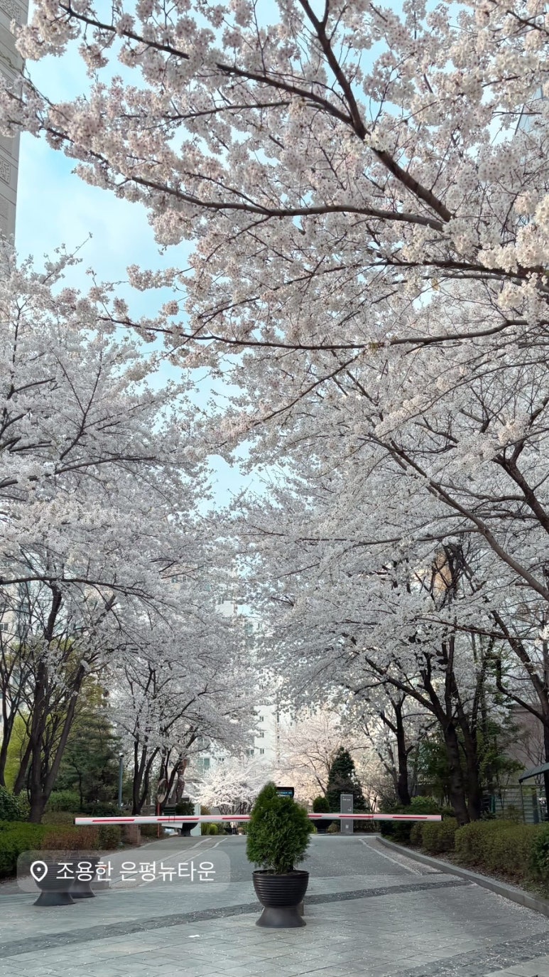 컴포즈커피 고대안암역점 이미지