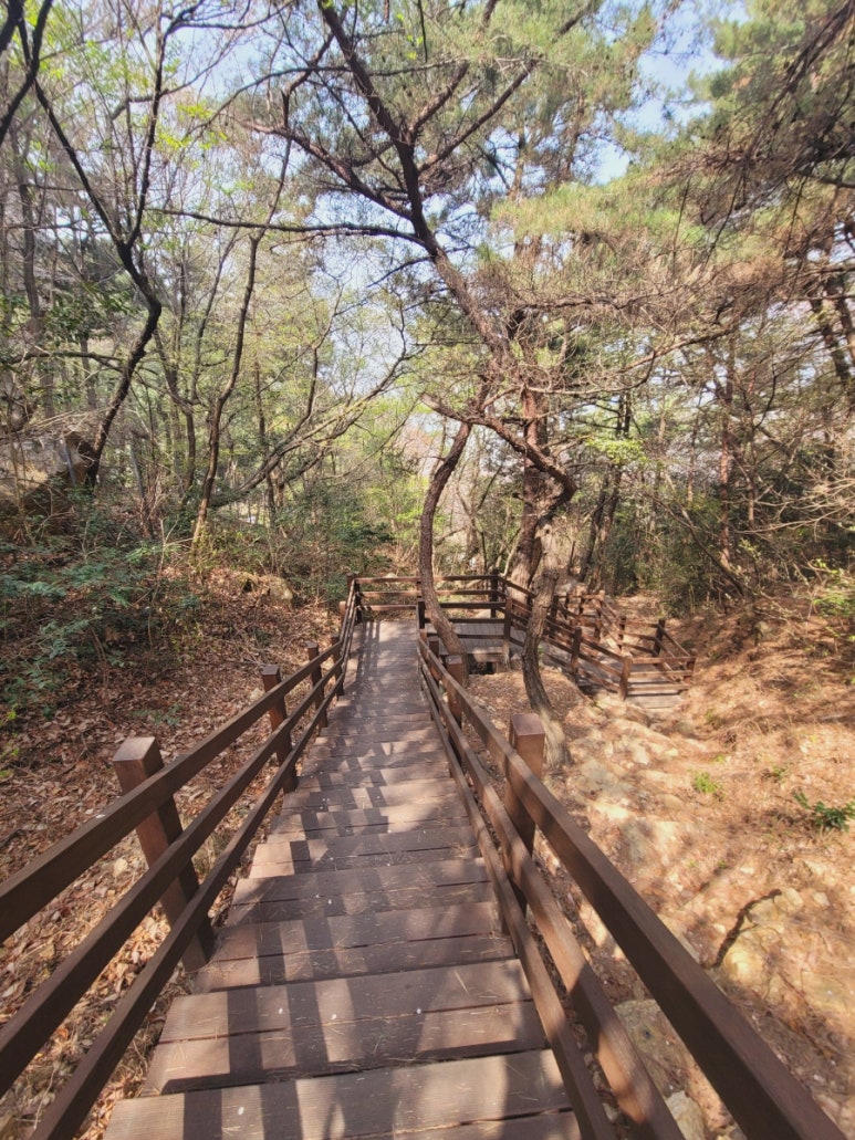 모라 유아숲체험원 이미지