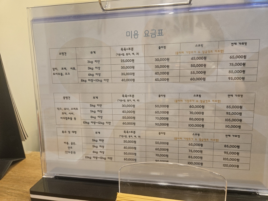 하이도그 이미지