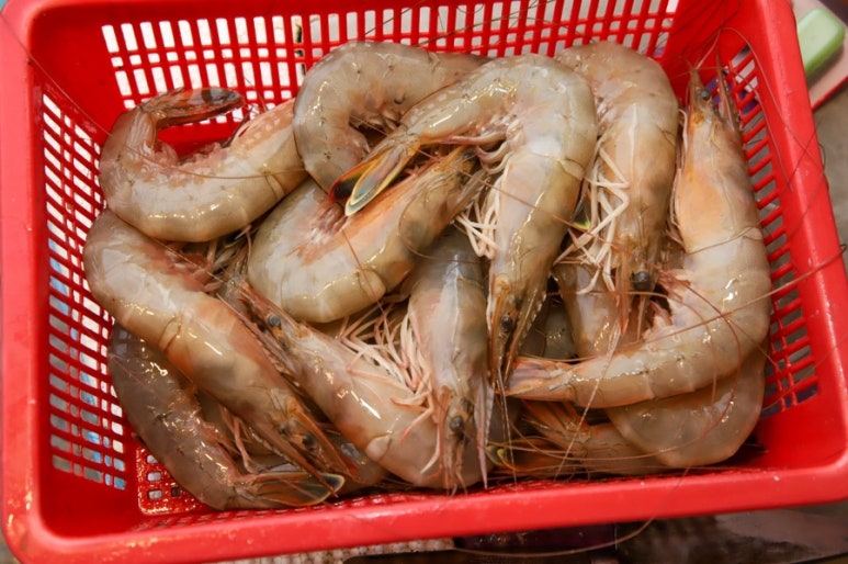 행복회수산 이미지