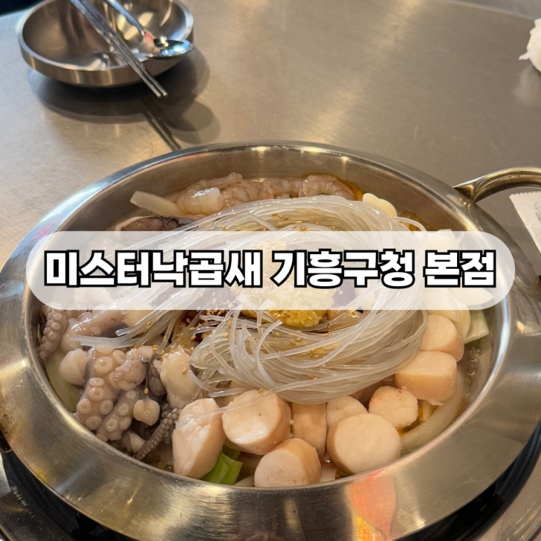 미스터낙곱새 이미지