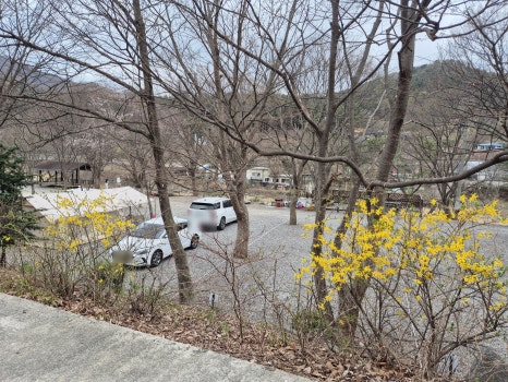 지지벨리유명산오토캠핑장 이미지