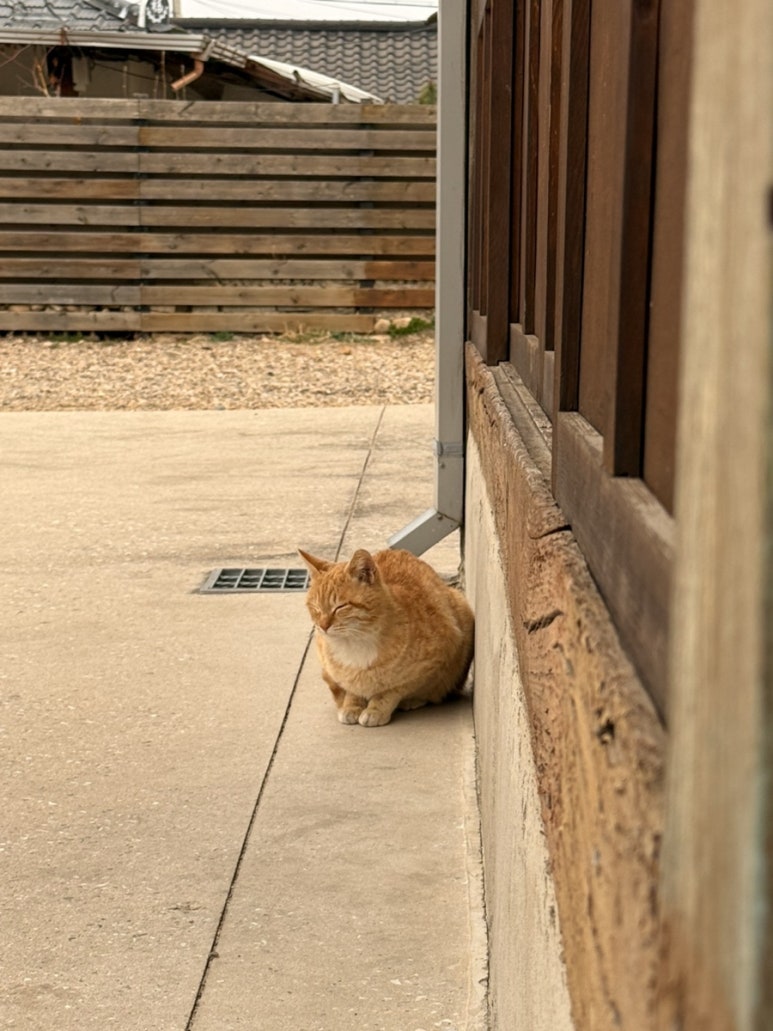 모글리발효빵집 이미지