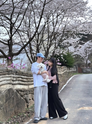 아포레힐 이미지