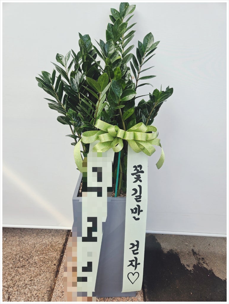 도우미꽃식물원 이미지