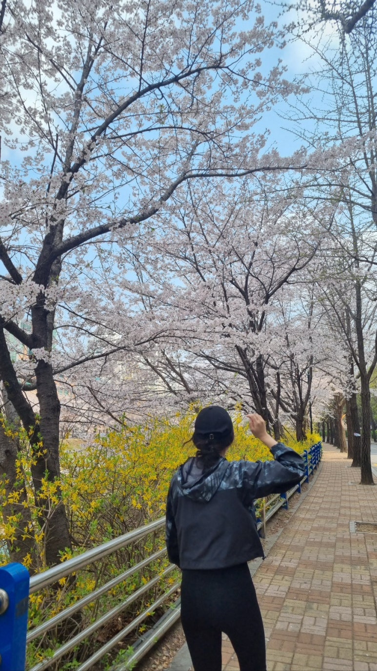 마이케이키 이미지