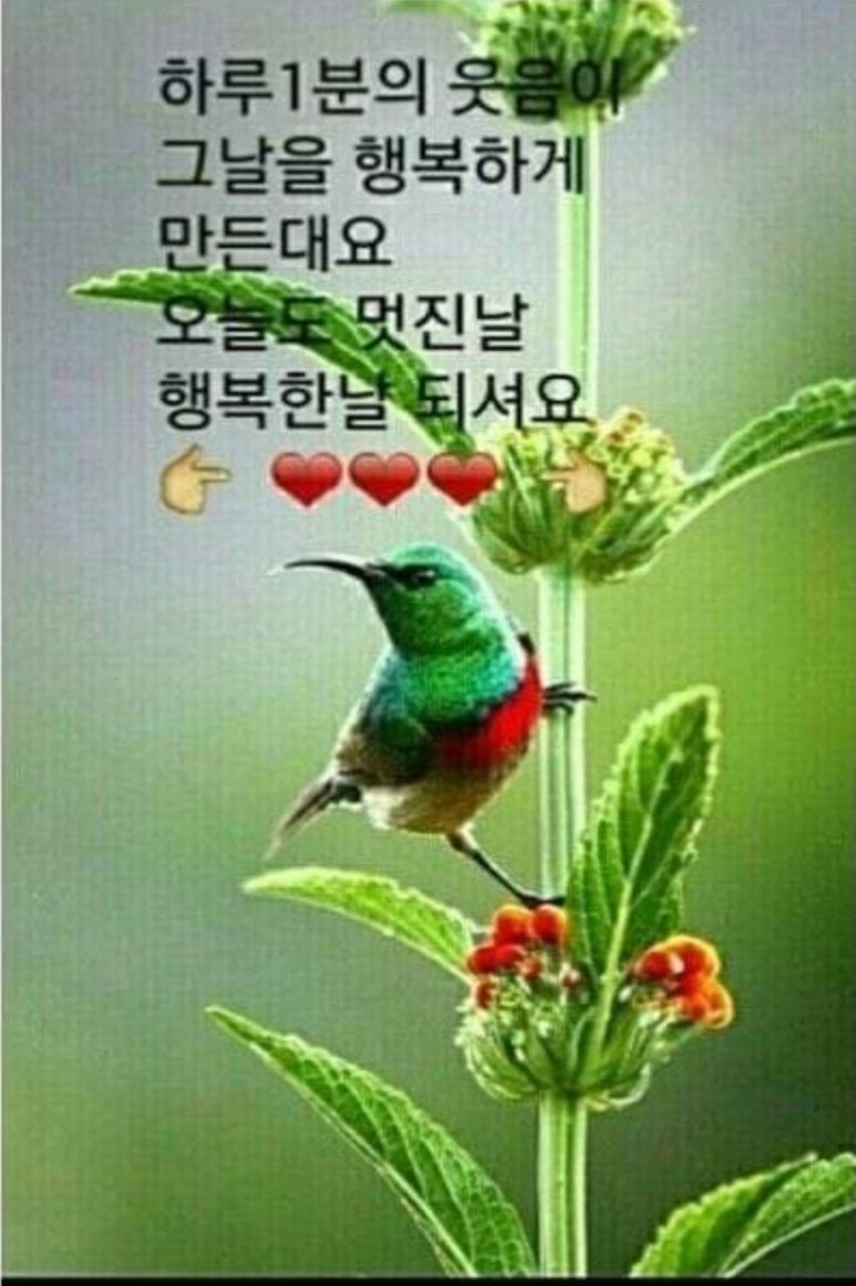 수지상사 이미지
