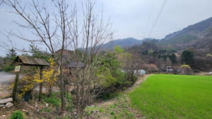 지교대호 이미지