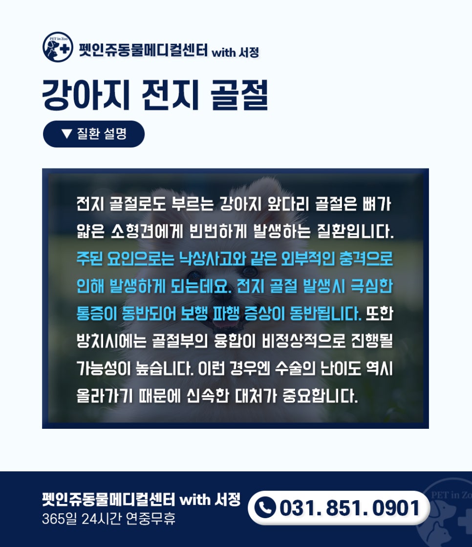 인메디칼 이미지