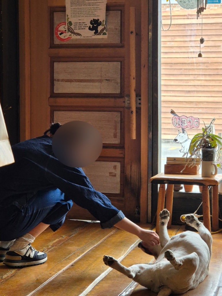 오차커피공방 이미지