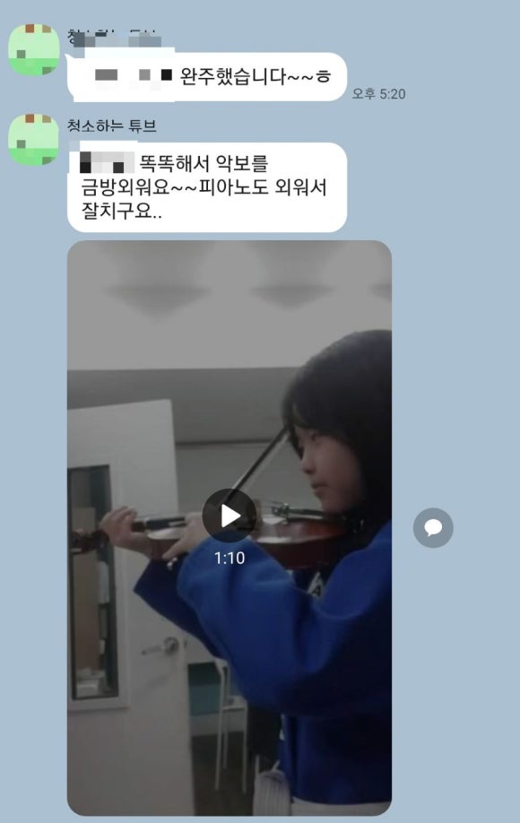 리나바이올린 이미지
