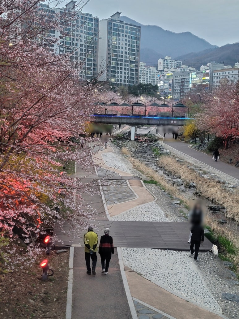 파리바게뜨 호평역점 이미지
