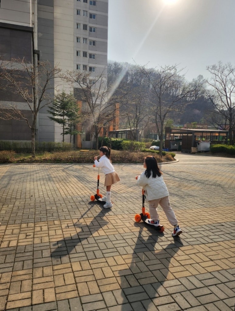 돈통마늘보쌈장기 이미지