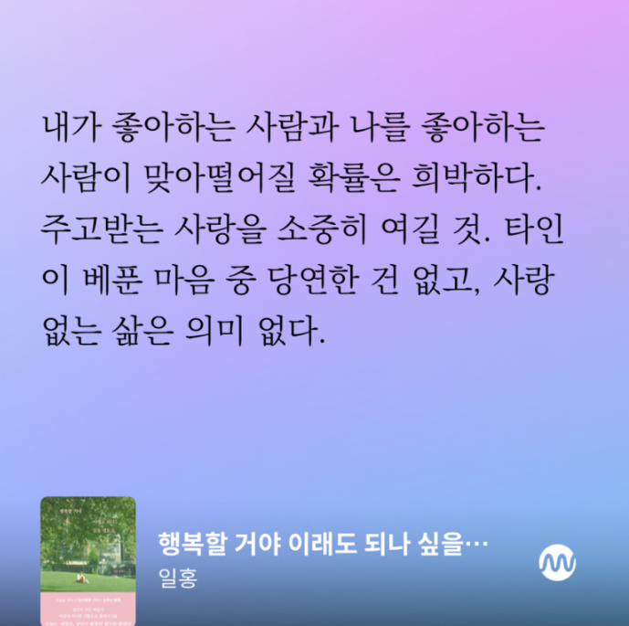 일홍 이미지