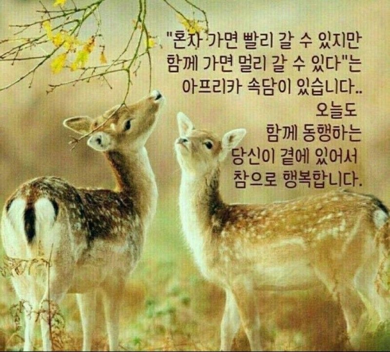 주(酒)량 이미지