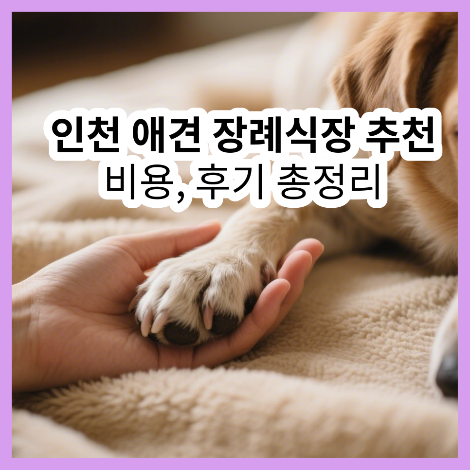 인천 강아지 장례식장 추천 | 합법 절차 및 비용 비교