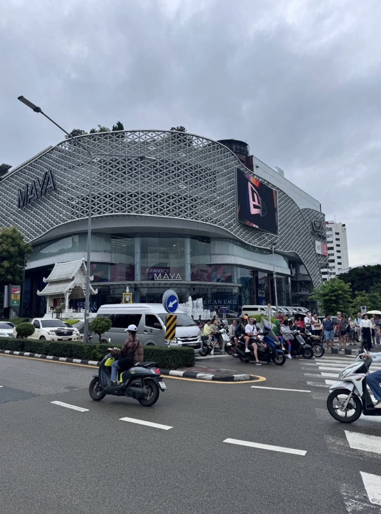 코쿤투어(cocoontour) 이미지