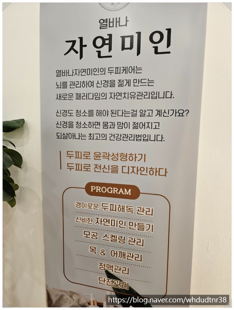 열바나자연미인 이미지