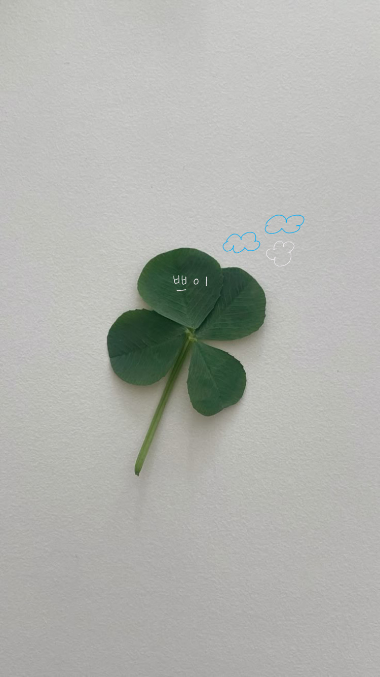 (유)여행스토리 이미지