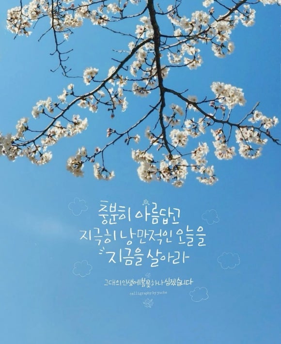 헤어샾 이미지