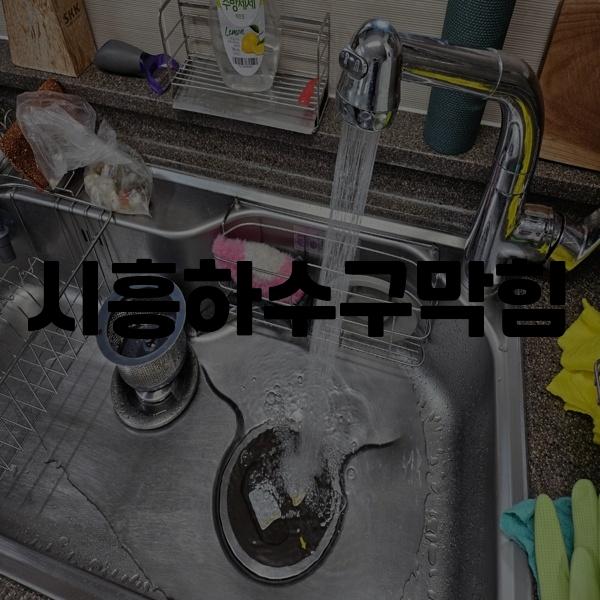 시흥하수구역류변기업체싱크대막힘고압세척 이미지
