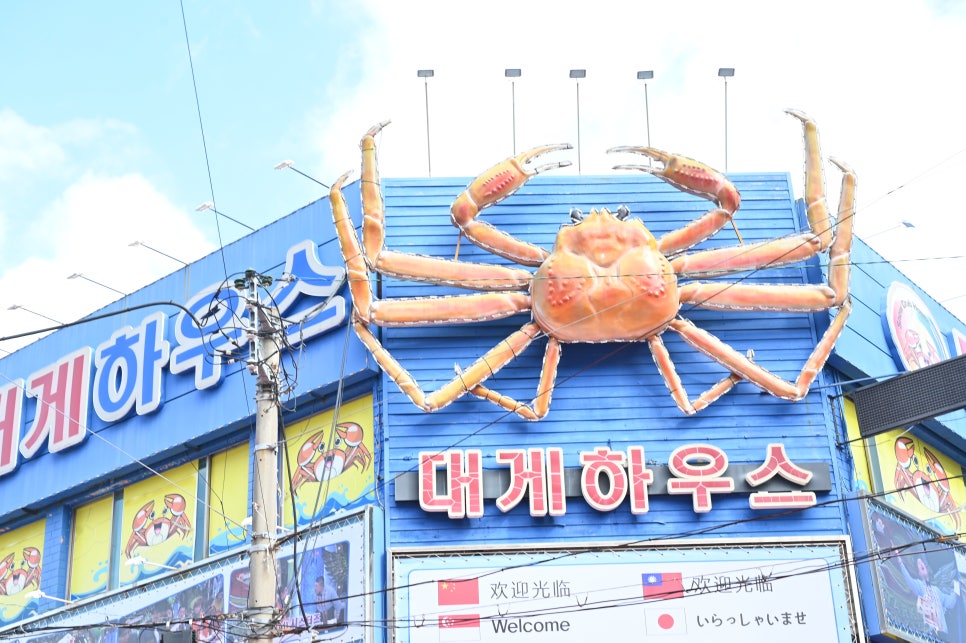 기장시장대게 이미지