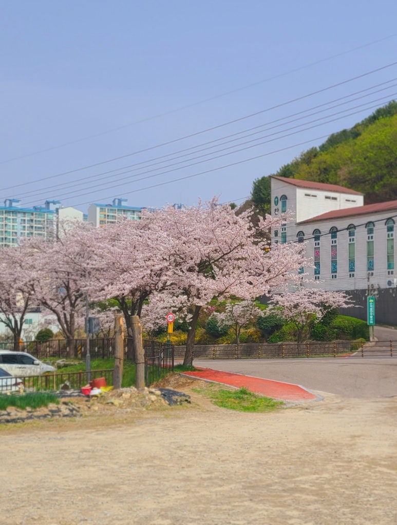 온가람 이미지