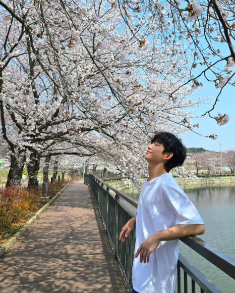 이십오도 이미지