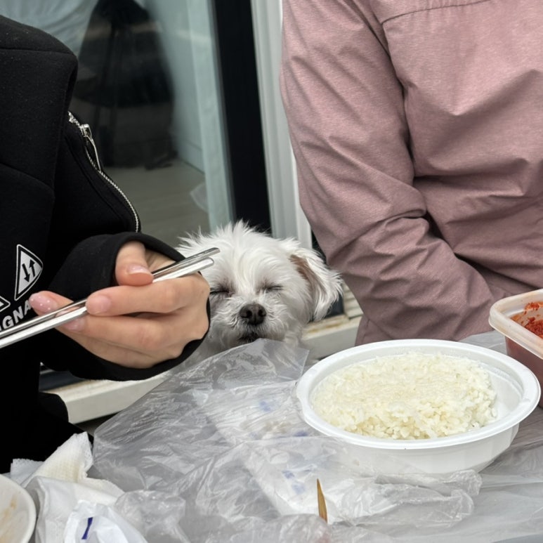 순양호영덕대게직판장 이미지