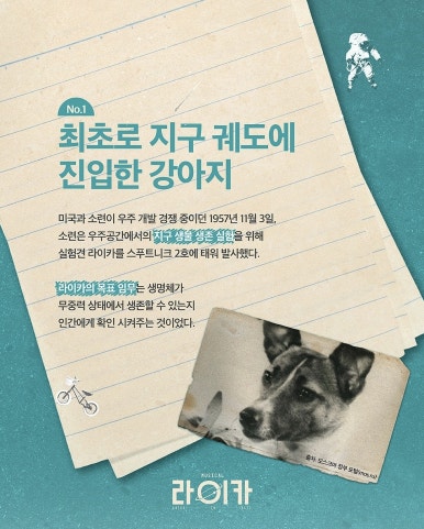 뮤더 이미지