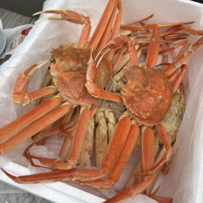 순양호영덕대게직판장 이미지