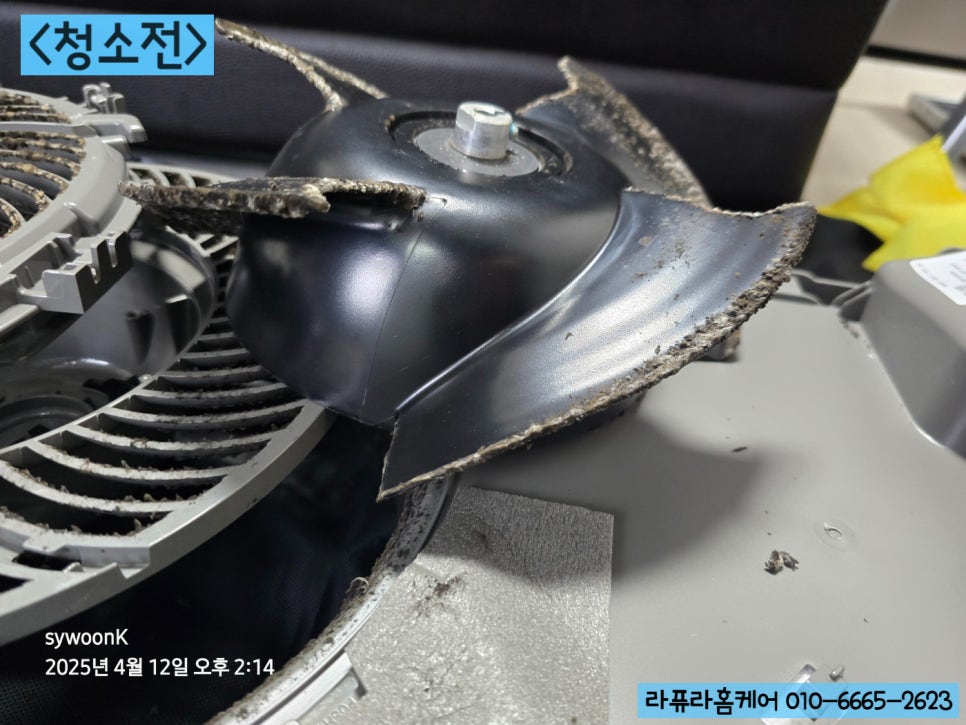 무풍인력 이미지