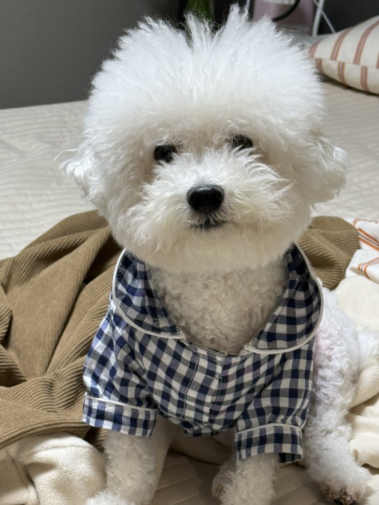 한량아세탁소 이미지