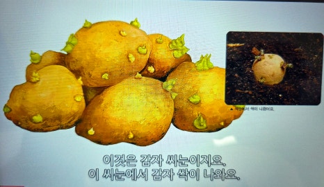 킨더나라어린이집 이미지